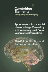 bokomslag Spontaneous Intracranial Haemorrhage Caused by a Non-aneurysmal Brain Vascular Malformation