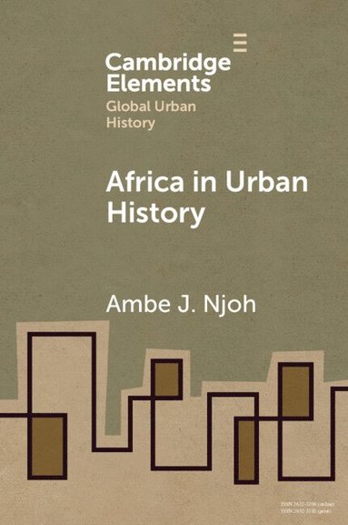 bokomslag Africa in Urban History