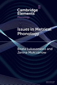 bokomslag Issues in Metrical Phonology