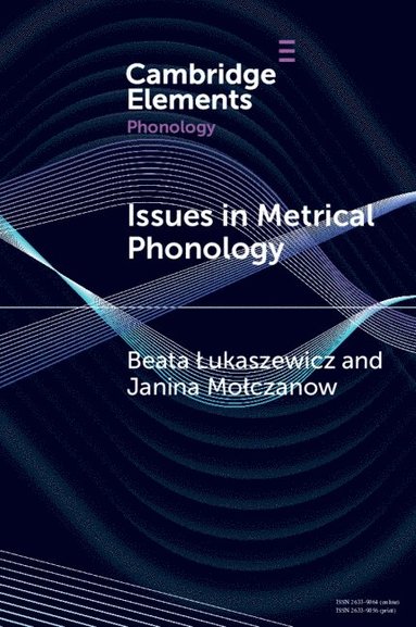 bokomslag Issues in Metrical Phonology