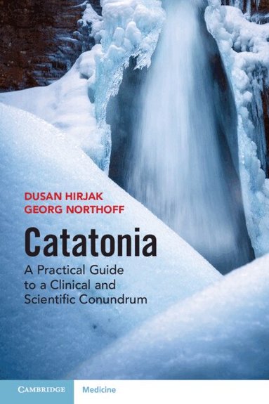 Dusan Hirjak, Georg Northoff - Catatonia, Häftad