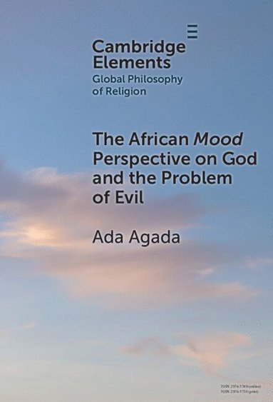 bokomslag The African Mood Perspective on God and the Problem of Evil