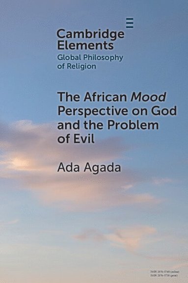 bokomslag The African Mood Perspective on God and the Problem of Evil