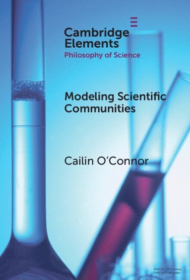 bokomslag Modelling Scientific Communities