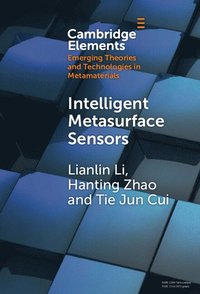 bokomslag Intelligent Metasurface Sensors