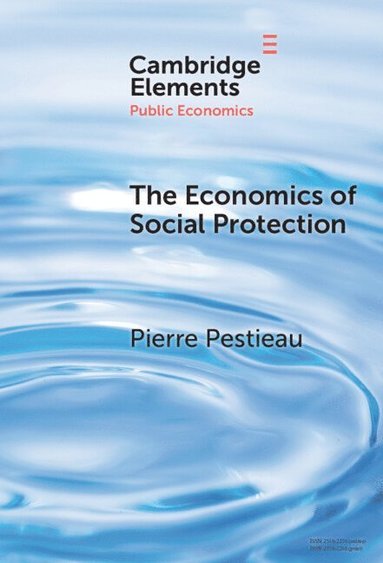 bokomslag The Economics of Social Protection