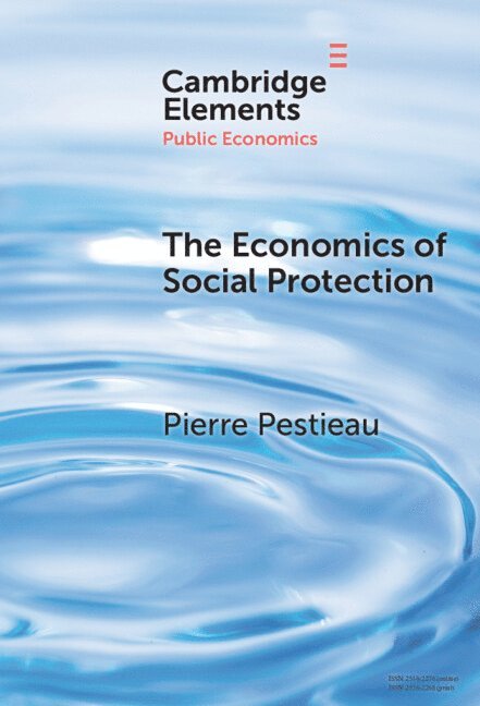 The Economics of Social Protection 1