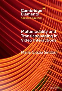 bokomslag Multimodality and Translanguaging in Video Interactions