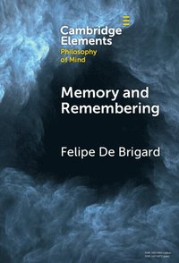 bokomslag Memory and Remembering
