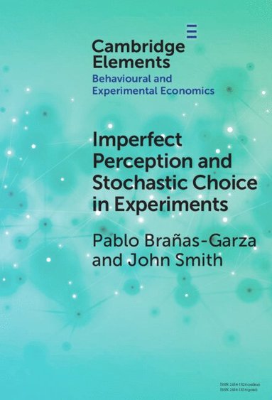 bokomslag Imperfect Perception and Stochastic Choice in Experiments