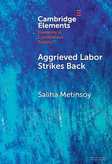 Saliha Metinsoy - Aggrieved Labor Strikes Back, Inbunden