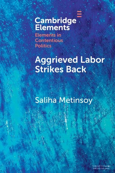 Saliha Metinsoy - Aggrieved Labor Strikes Back, Häftad
