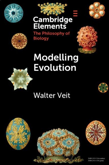Walter Veit - Modelling Evolution, Häftad