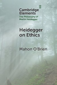 bokomslag Heidegger on Ethics