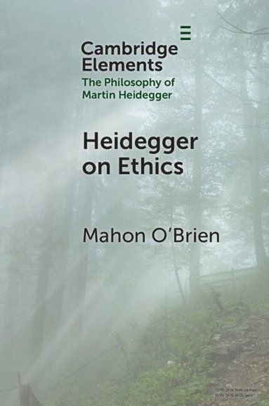 bokomslag Heidegger on Ethics