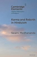 bokomslag Karma and Rebirth in Hinduism