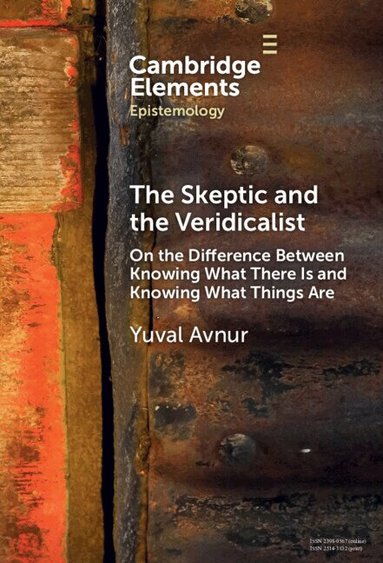 Yuval Avnur - The Skeptic and the Veridicalist, Inbunden