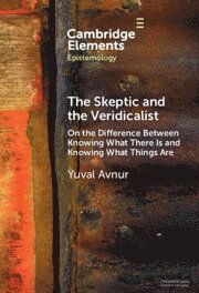 Yuval Avnur, Yuval (Scripps College) Avnur - Skeptic and the Veridicalist, Inbunden