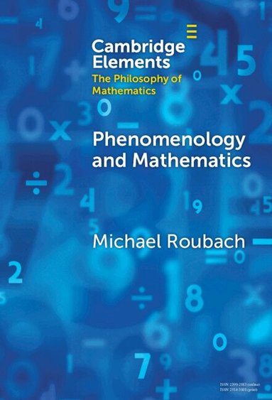 Michael Roubach - Phenomenology and Mathematics, Inbunden