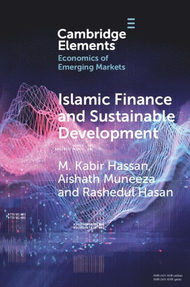 bokomslag Islamic Finance and Sustainable Development