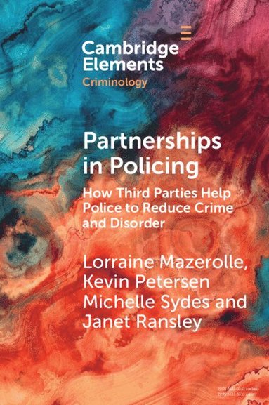 bokomslag Partnerships in Policing