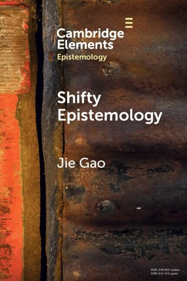 Jie Gao - Shifty Epistemology, Häftad