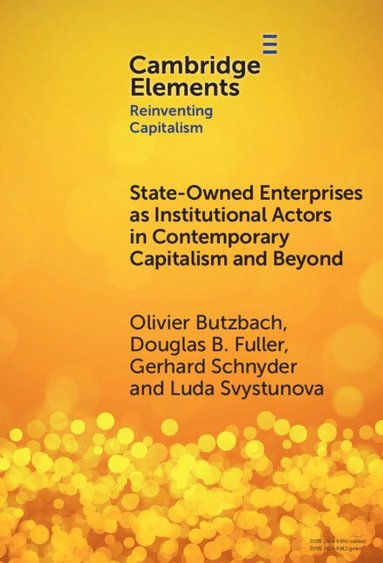 bokomslag State-Owned Enterprises as Institutional Actors in Contemporary Capitalism and Beyond