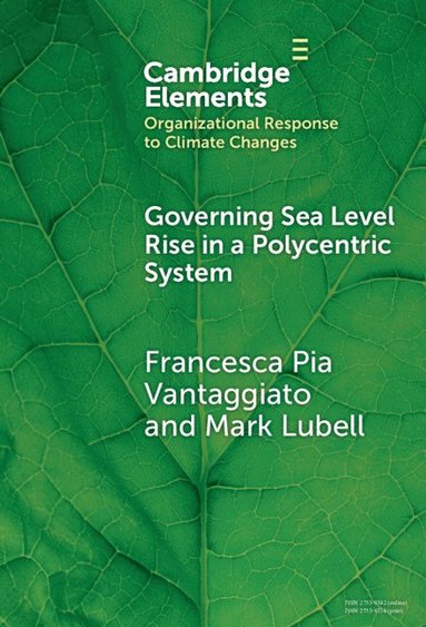 bokomslag Governing Sea Level Rise in a Polycentric System