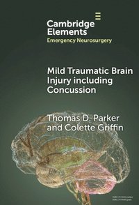 bokomslag Mild Traumatic Brain Injury including Concussion