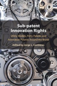 bokomslag Sub-Patent Innovation Rights