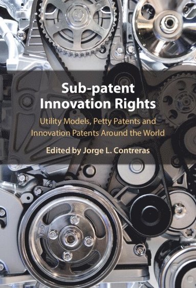 bokomslag Sub-Patent Innovation Rights