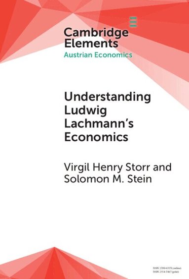 Virgil Henry Storr, Solomon M. Stein - Understanding Ludwig Lachmann's Economics, Inbunden