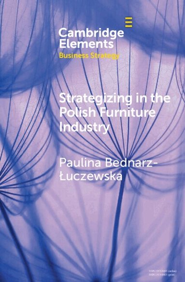 Paulina Bednarz-Łuczewska - Strategizing in the Polish Furniture Industry, Inbunden