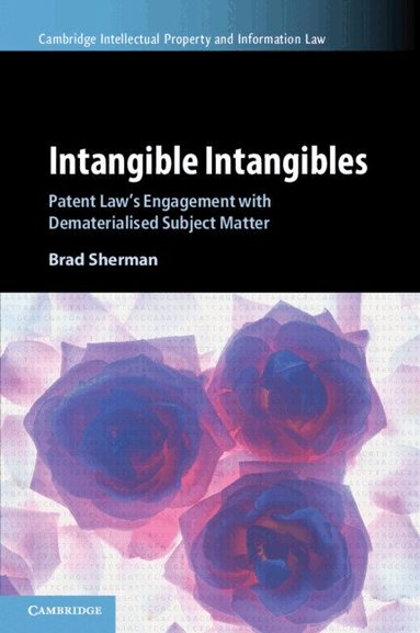 Brad Sherman - Intangible Intangibles, Häftad