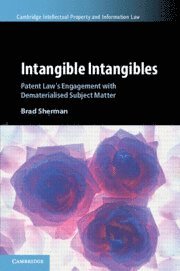 bokomslag Intangible Intangibles