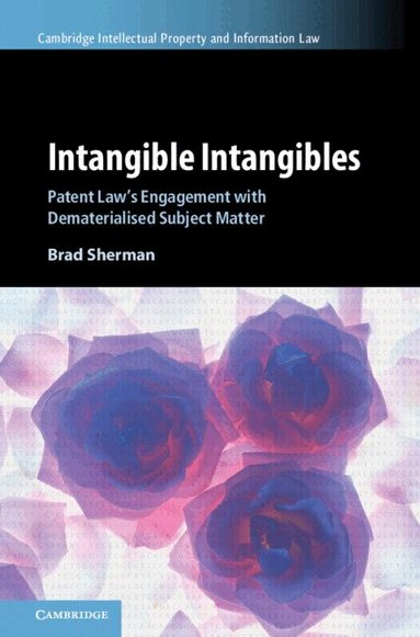 Brad Sherman - Intangible Intangibles, Inbunden