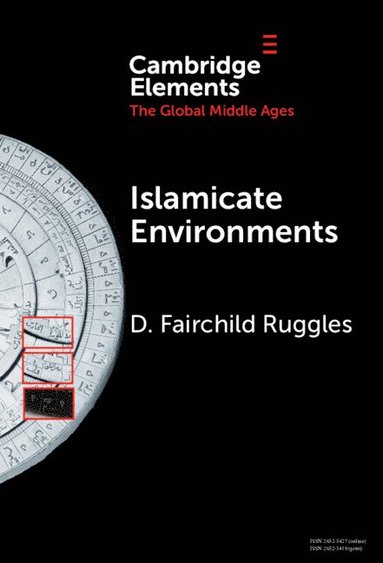 bokomslag Islamicate Environments