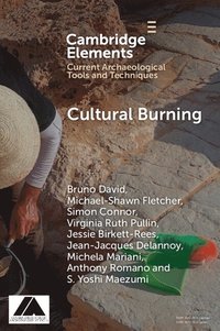bokomslag Cultural Burning