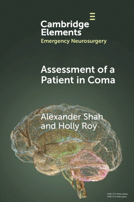 Alexander Shah, Holly Roy, Alexander (University Hospitals Plymouth NHS Trust) Shah, Holly (University of Plymouth) Roy - Assessment of a Patient in Coma, Häftad