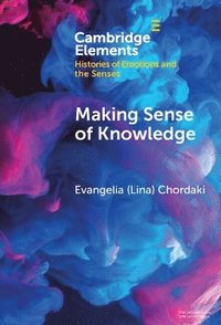 bokomslag Making Sense of Knowledge