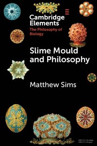 bokomslag Slime Mould and Philosophy