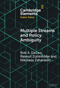 bokomslag Multiple Streams and Policy Ambiguity