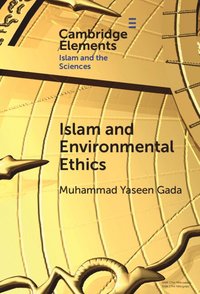 bokomslag Islam and Environmental Ethics