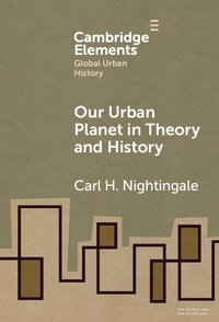 bokomslag Our Urban Planet in Theory and History