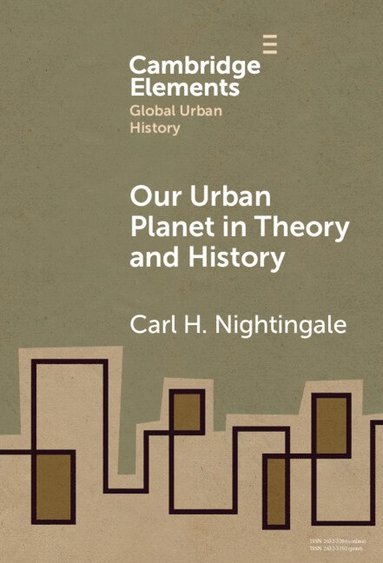 bokomslag Our Urban Planet in Theory and History