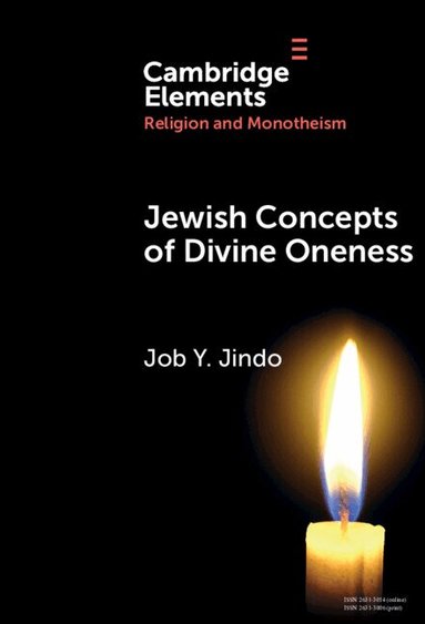 Job Y. Jindo - Jewish Concepts of Divine Oneness, Inbunden