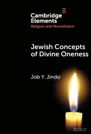 bokomslag Jewish Concepts of Divine Oneness