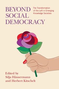 bokomslag Beyond Social Democracy