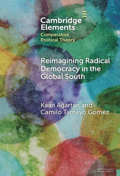 bokomslag Reimagining Radical Democracy in the Global South