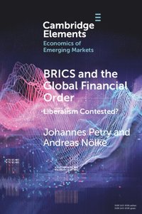 bokomslag BRICS and the Global Financial Order